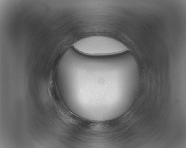 X0000060790074200511101045