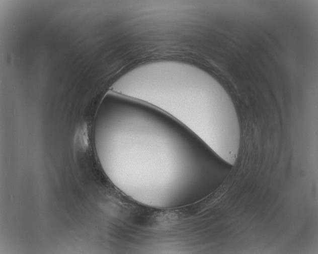 X0000060790075200511101045