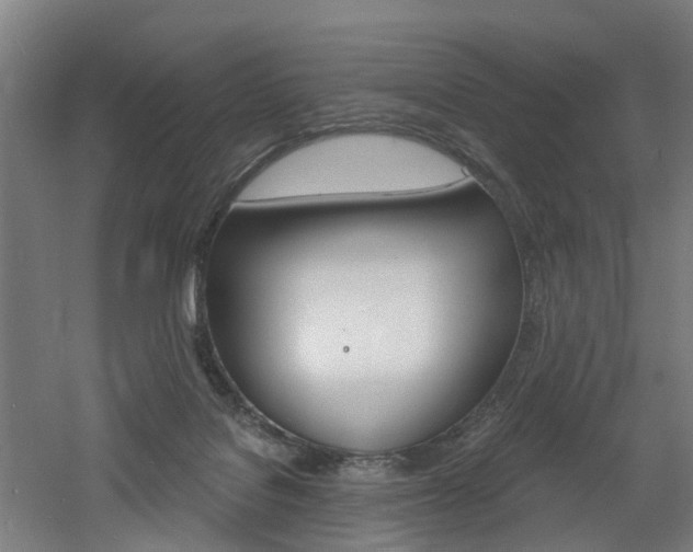 X0000060790076200511101045