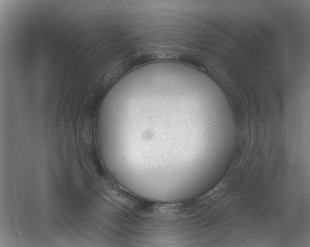 X0000060790078200511101045