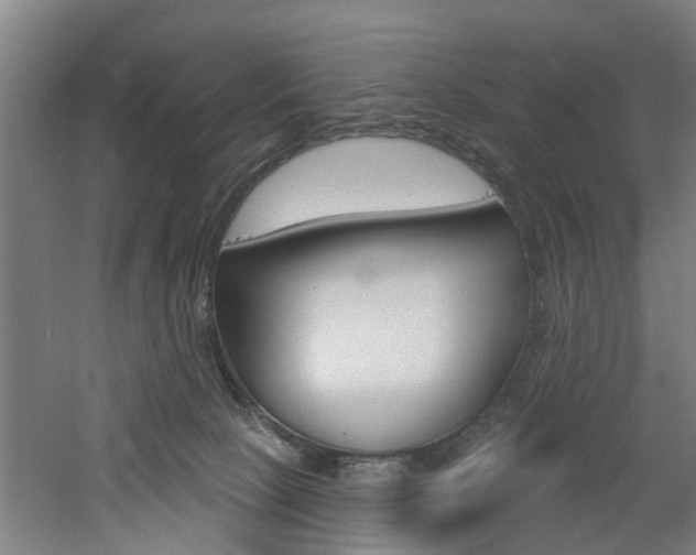 X0000060790081200511101045