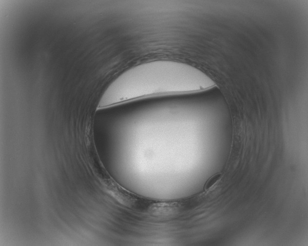 X0000060790082200511101045