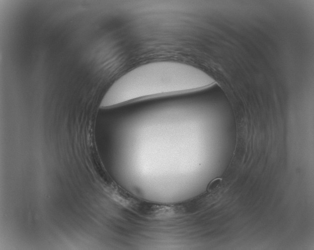 X0000060790083200511101045