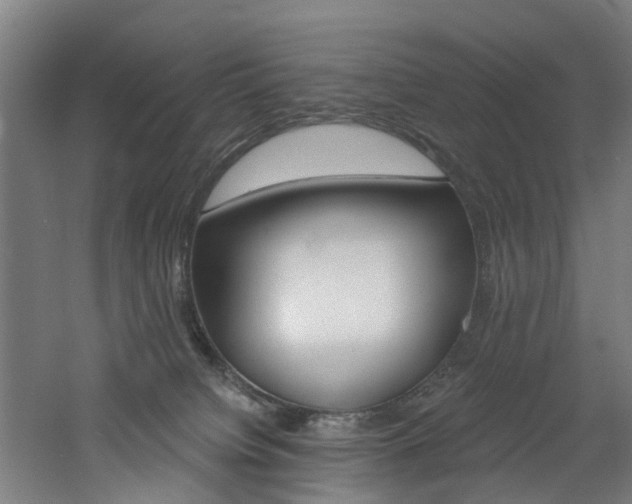 X0000060790084200511101045