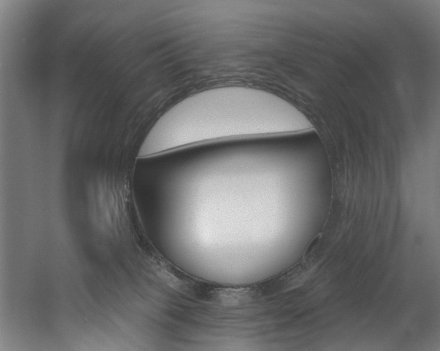 X0000060790085200511101045