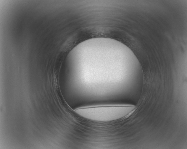 X0000060790086200511101045