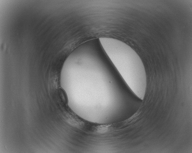 X0000060790090200511101046