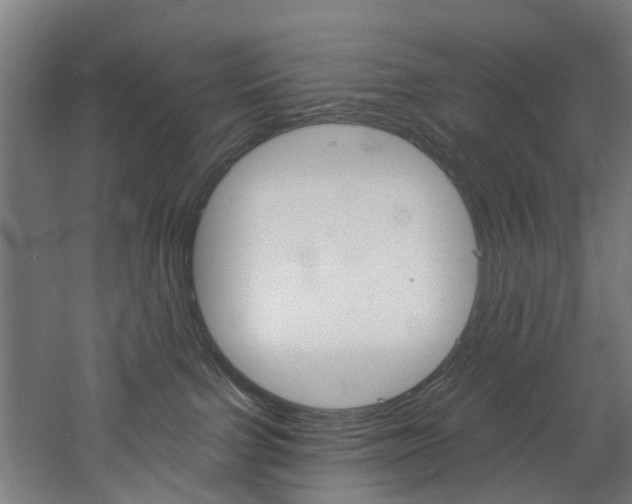 X0000060790091200511101046