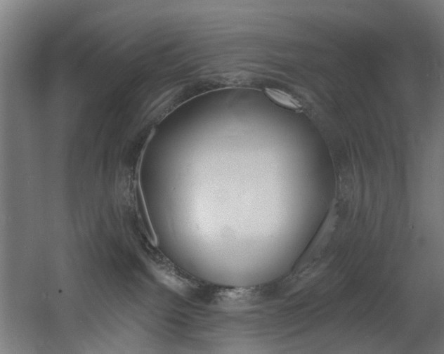 X0000060790092200511101046