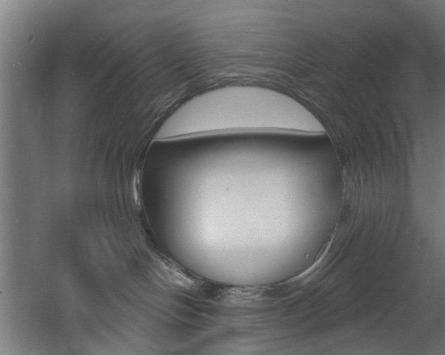 X0000060790094200511101046