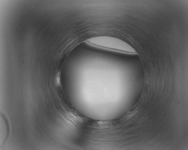 X0000060790095200511101046