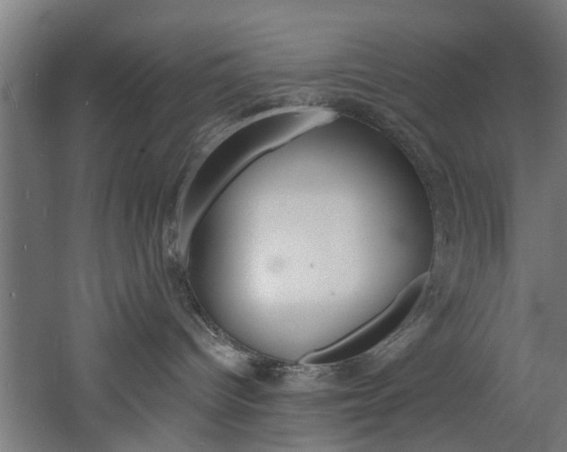 X0000060790096200511101046