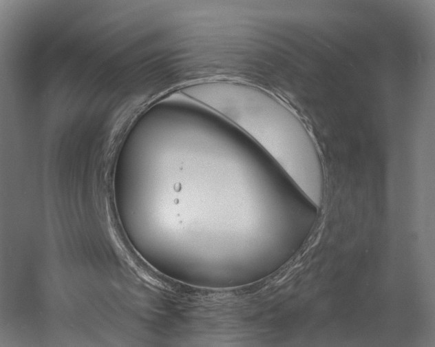 X0000060790097200511101045