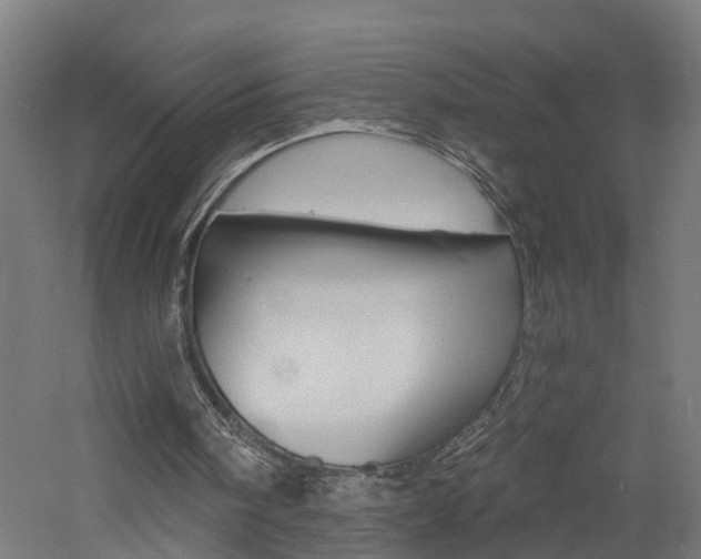 X0000060790098200511101045