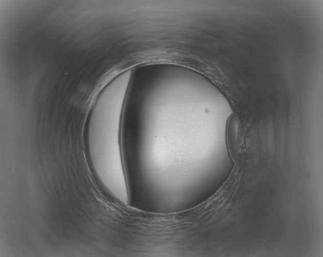 X0000060790099200511101045