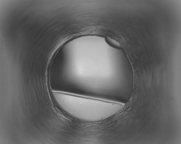 X0000060790100200511101045