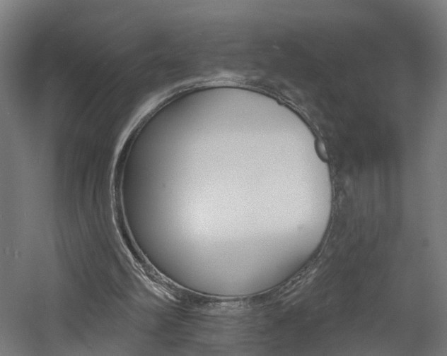 X0000060790102200511101045