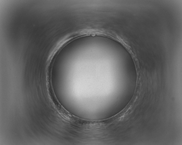 X0000060790103200511101045