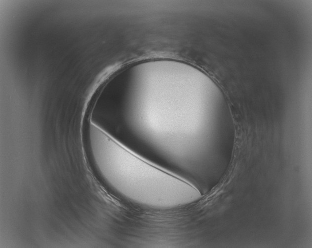 X0000060790104200511101045