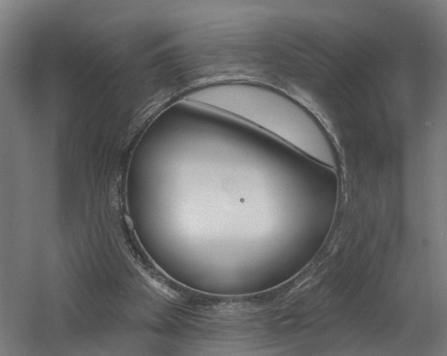 X0000060790105200511101045