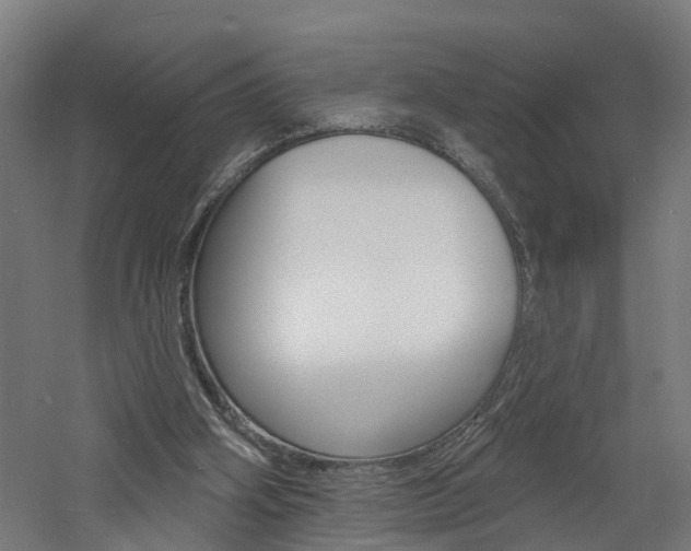 X0000060790106200511101045