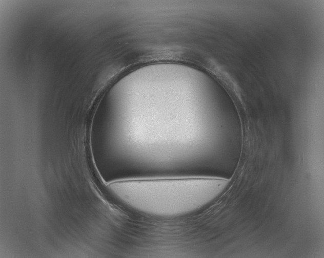 X0000060790107200511101045