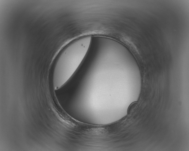 X0000060790108200511101045