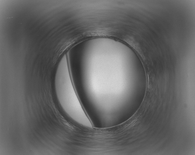 X0000060790109200511101045