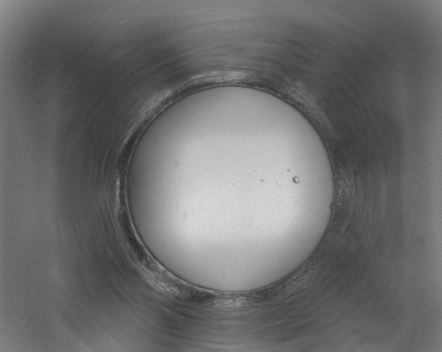 X0000060790110200511101045