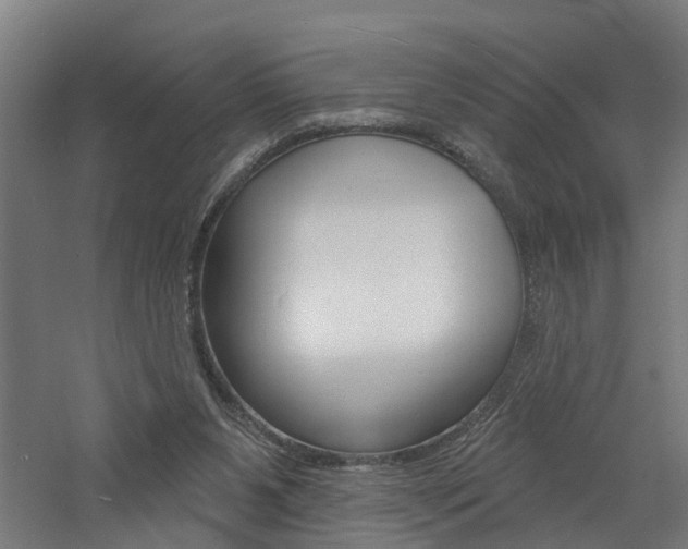 X0000060790111200511101045