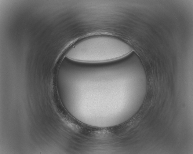 X0000060790112200511101045