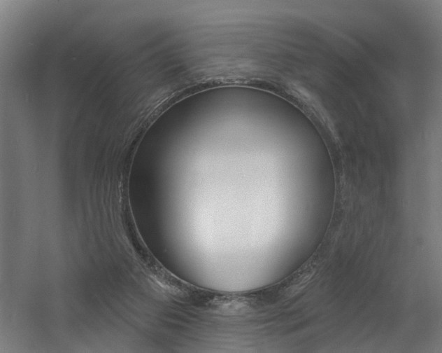 X0000060790113200511101045