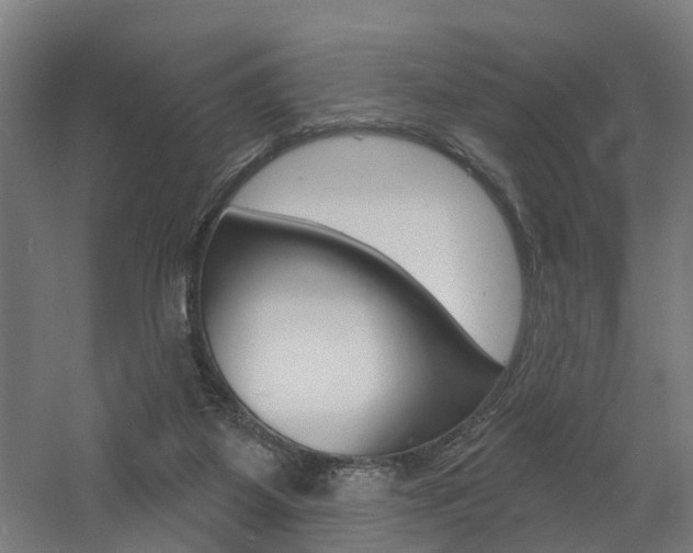 X0000060790115200511101045