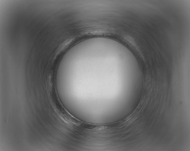 X0000060790116200511101044