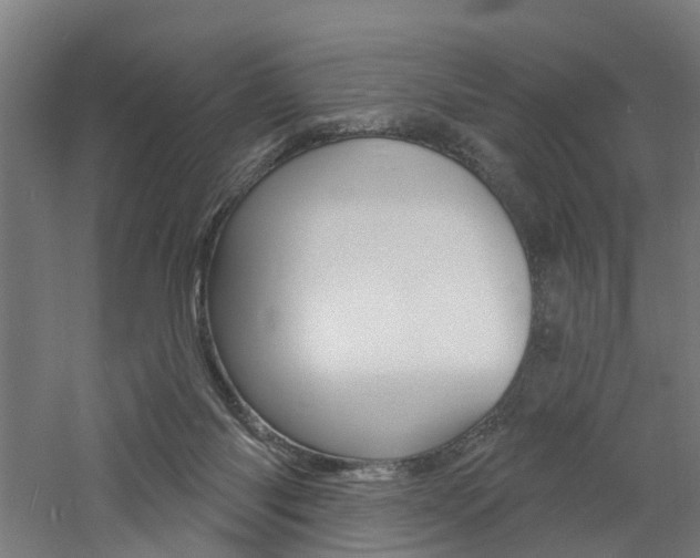 X0000060790118200511101044