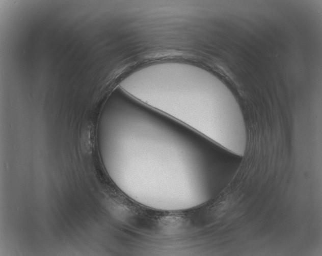 X0000060790119200511101044