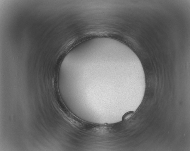 X0000060790120200511101044