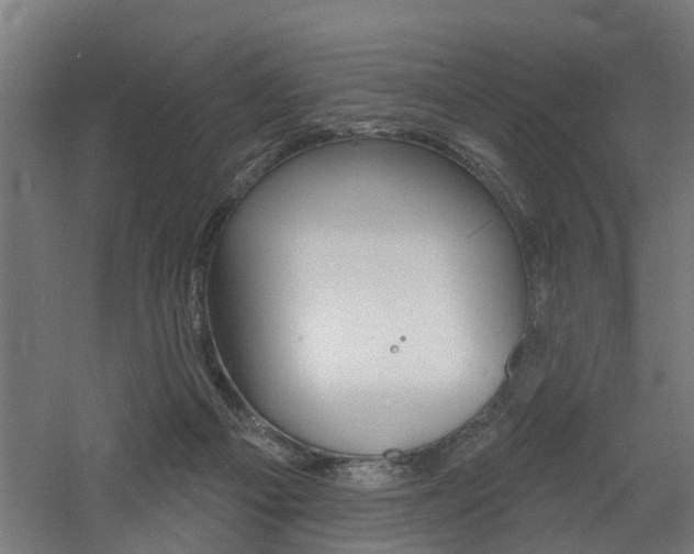 X0000060790121200511101044