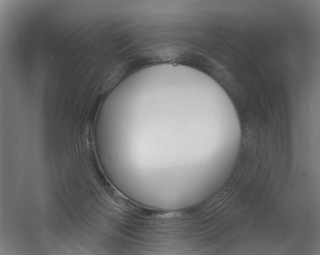 X0000060790122200511101044