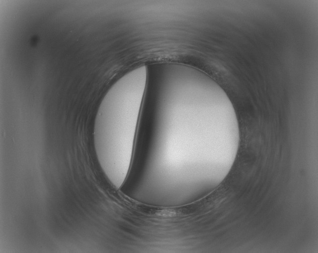 X0000060790123200511101044