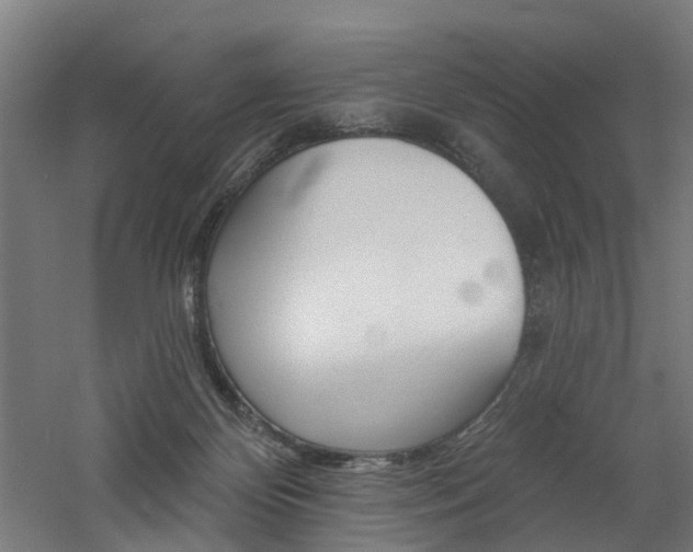 X0000060790124200511101044