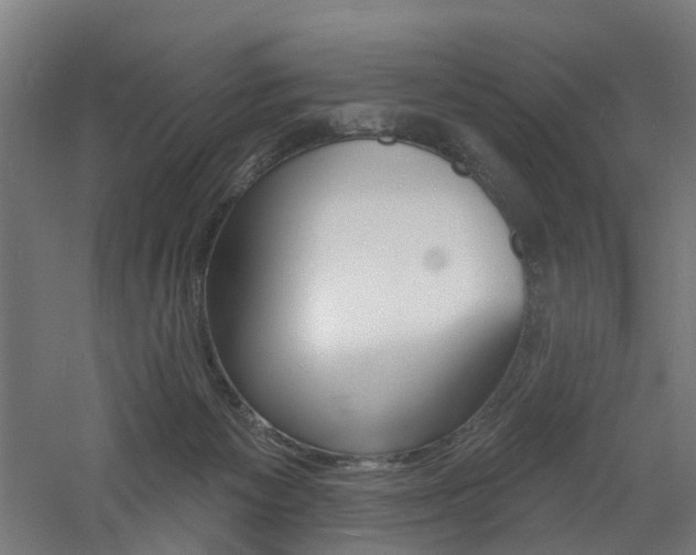 X0000060790125200511101044