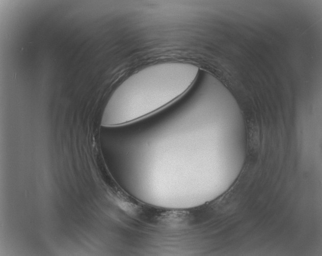 X0000060790128200511101044