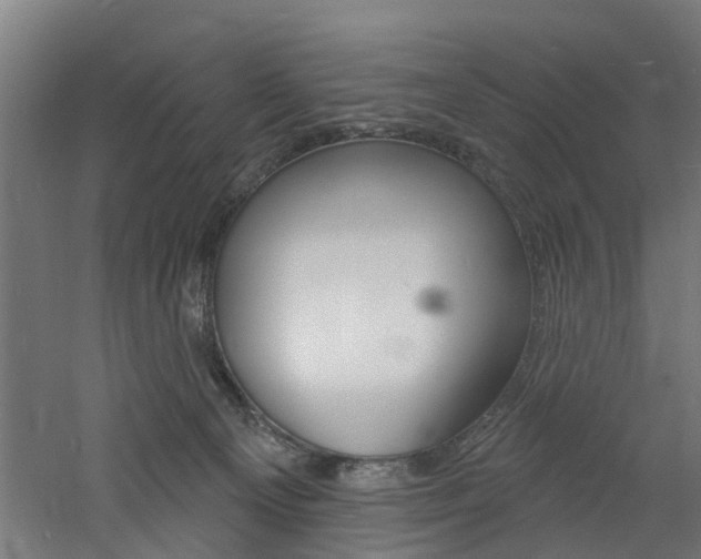 X0000060790129200511101044