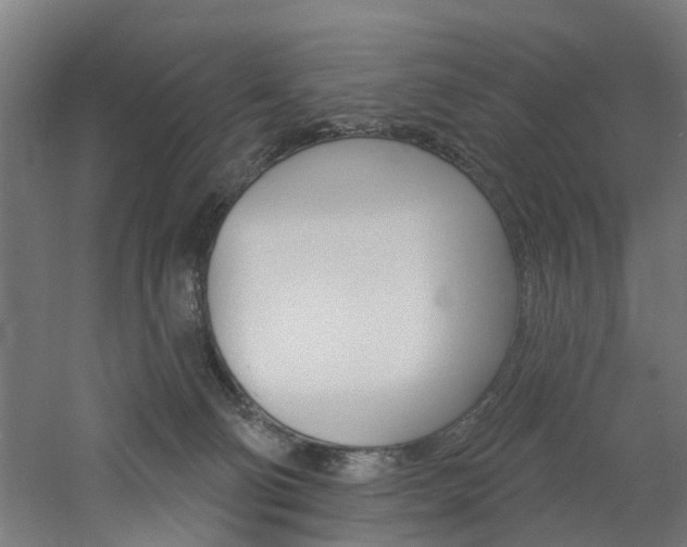 X0000060790130200511101044