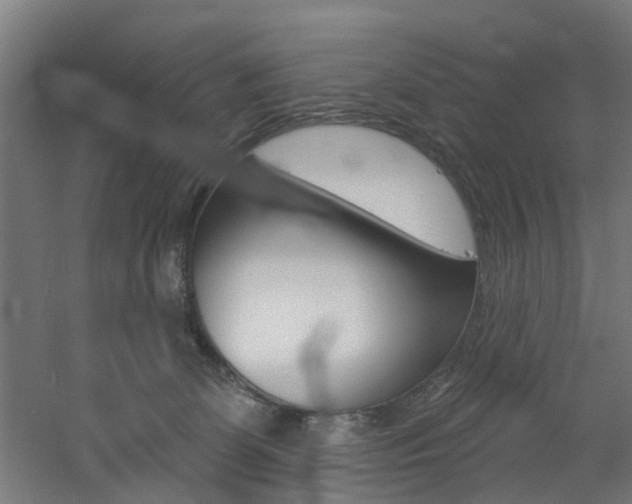 X0000060790131200511101044