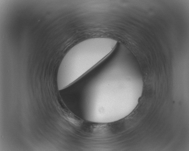 X0000060790132200511101044