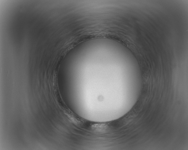 X0000060790133200511101044