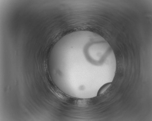 X0000060790134200511101044