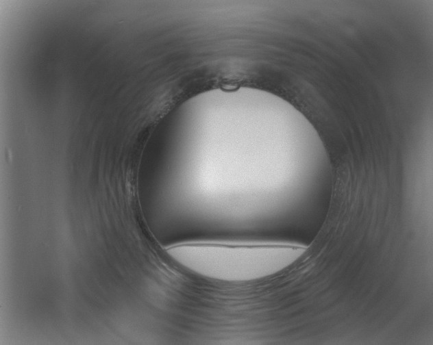 X0000060790135200511101044